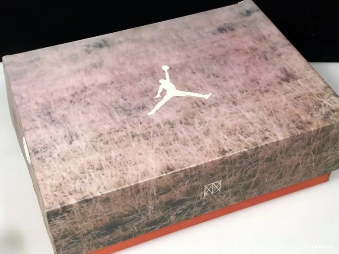 Beige Jordan Bio Air 3 JTH AV6683-200 0714